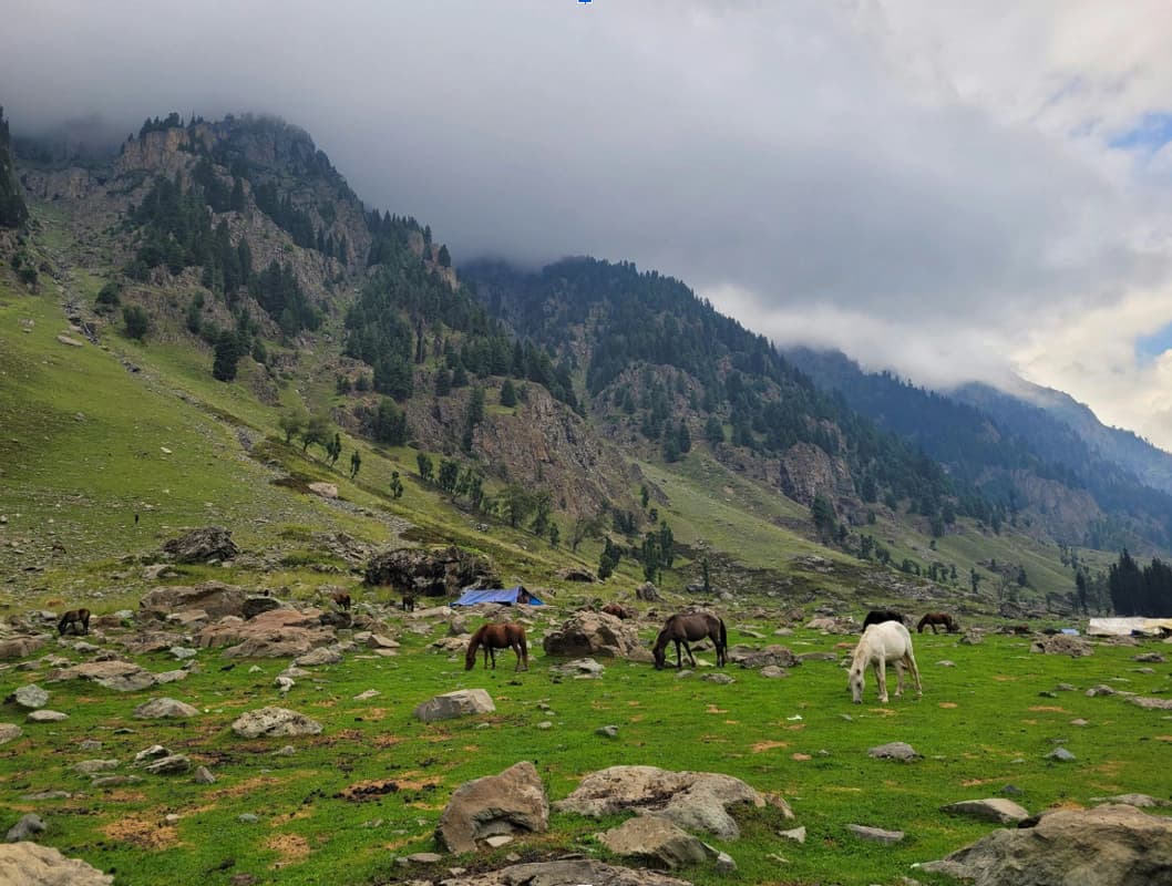 Kashmir in August: Weather, Places to Visit, Things to Do & Travel Guide