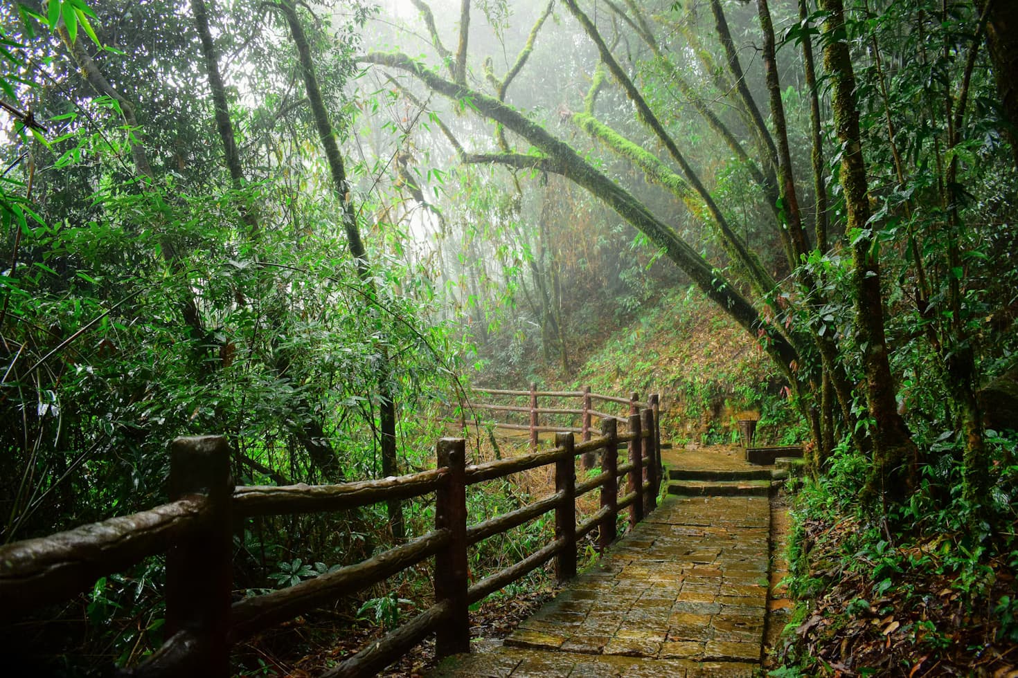 Shillong