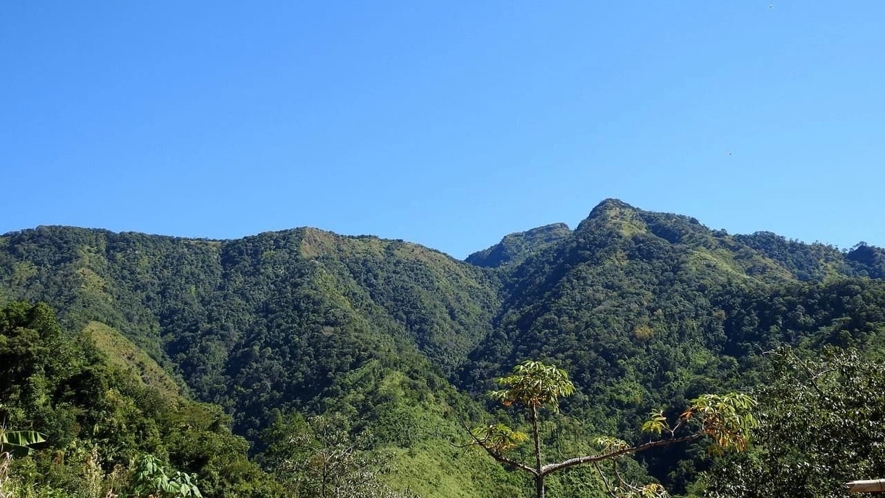 Murlen National Park