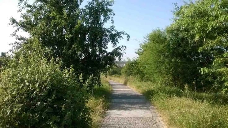 Aravalli Biodiversity Park