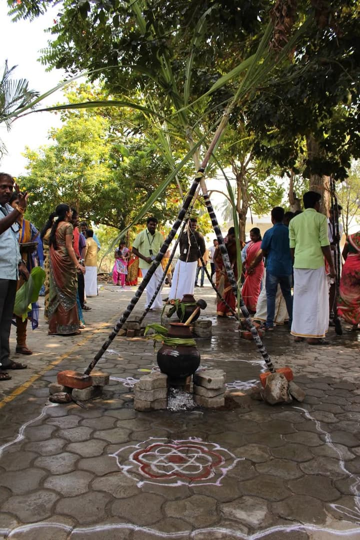 Pongal