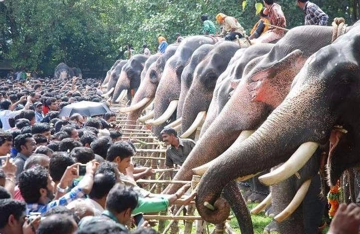 Aanayoottu at Vadakkumnathan Temple