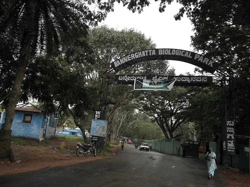 Bannerghatta National Park