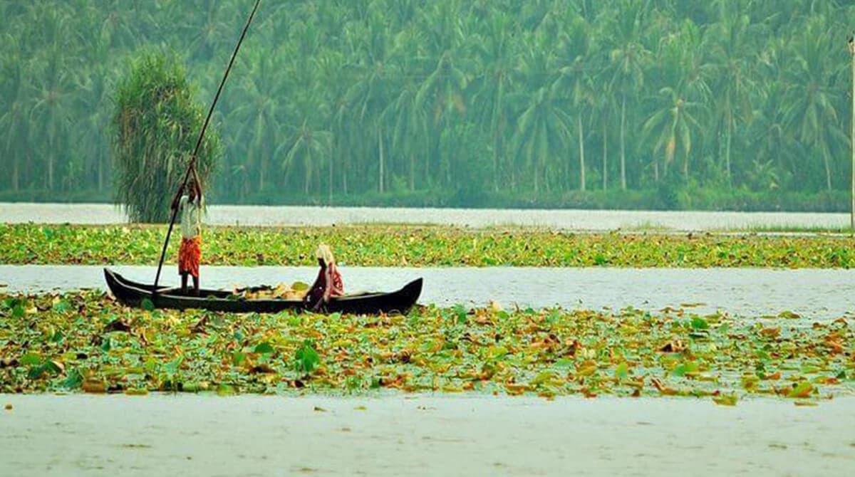 Vellayani Lake