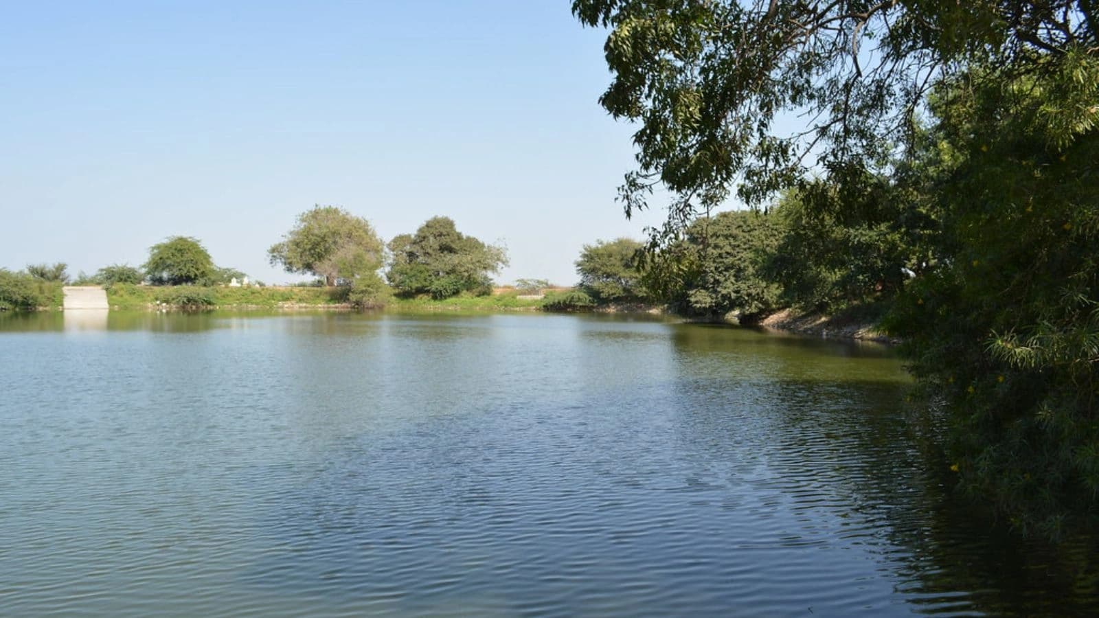 Gopi Talav