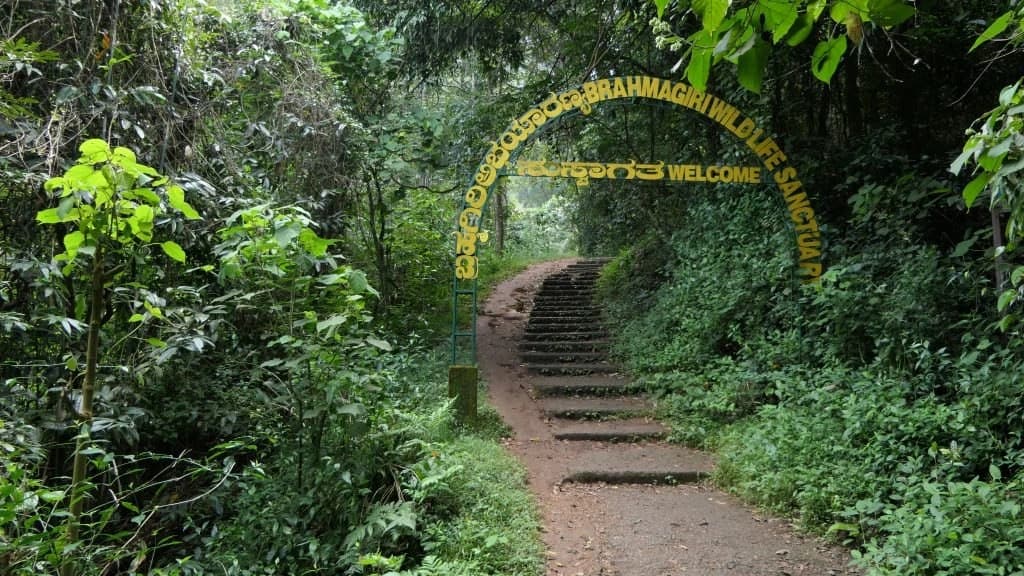 Brahmagiri Wildlife Sanctuary & Trek