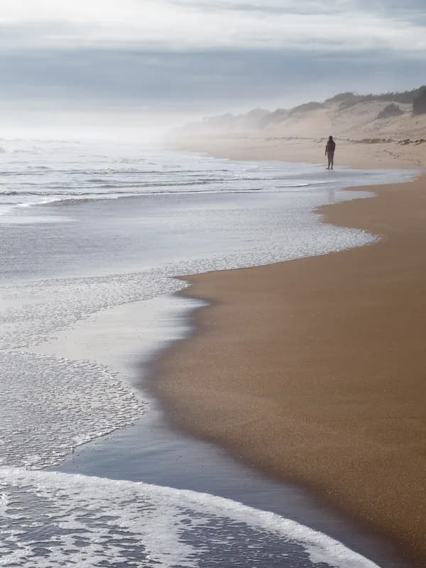 Chandrabhaga Beach
