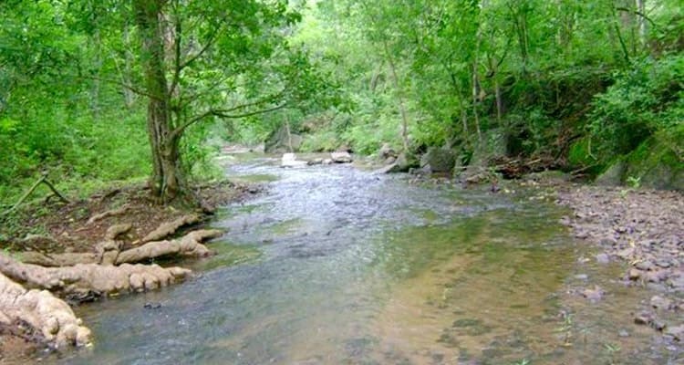 Forest Park (Biju Patnaik Park)