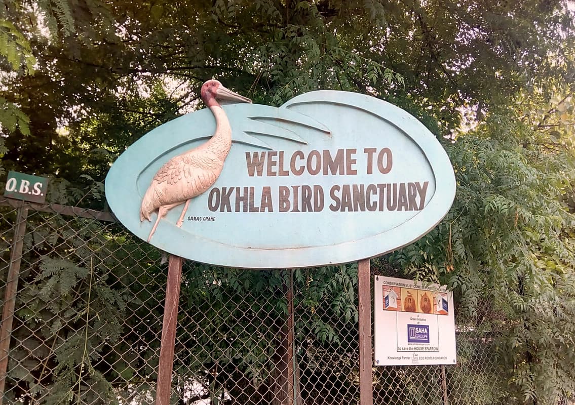 Okhla Bird Sanctuary