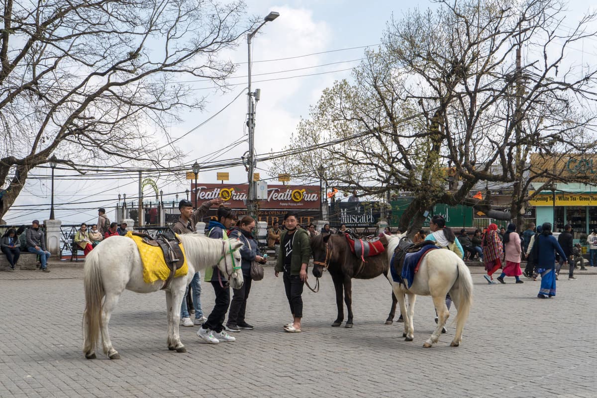 Darjeeling Mall (Chowrasta)