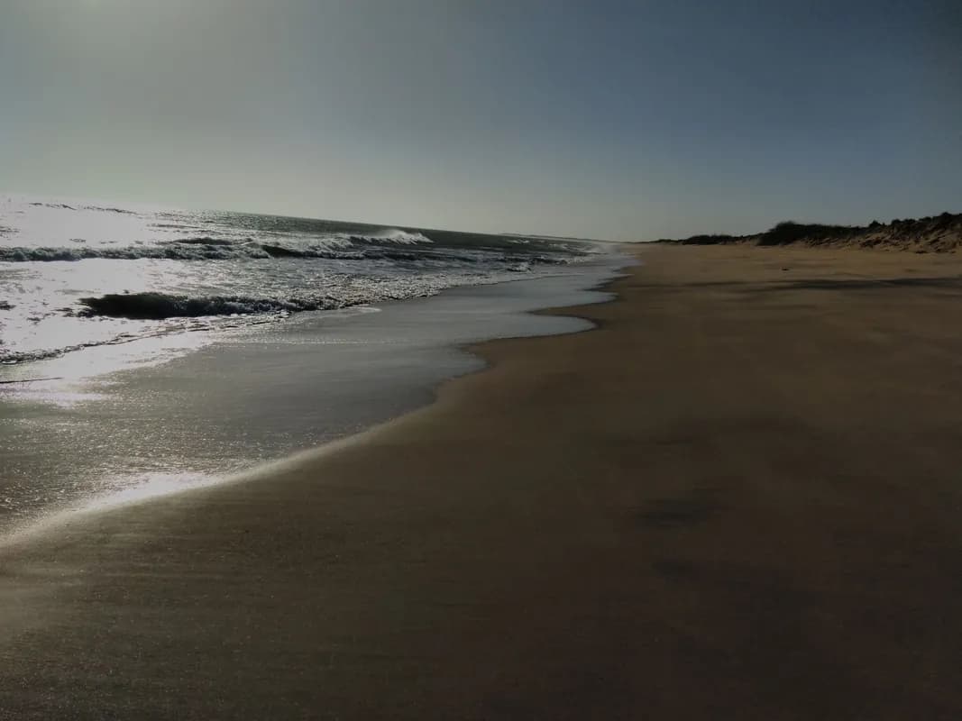 Pingleshwar Beach