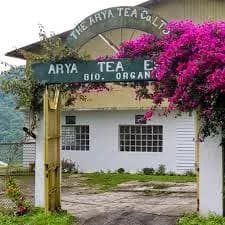 Arya Tea Estate