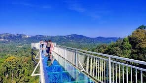 Glass Bridge / Coorg's Coffee Island