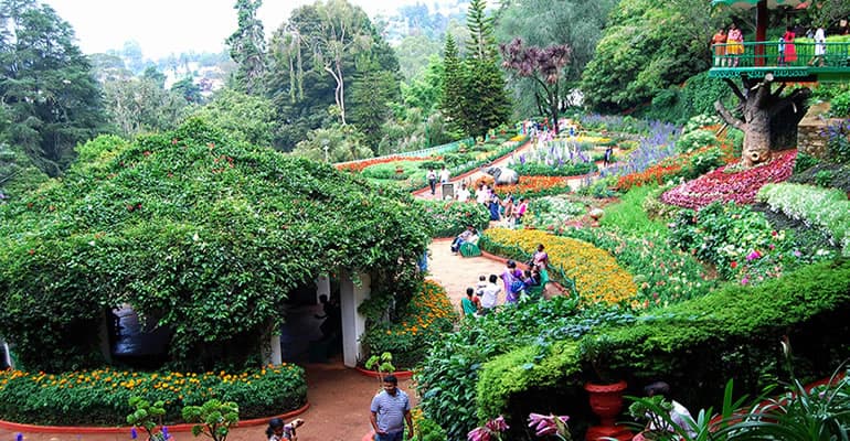 Ooty Summer Festival & Flower Show