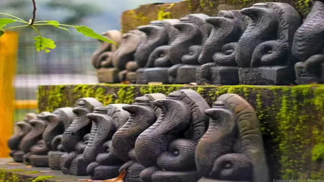 Mannarasala Ayilyam