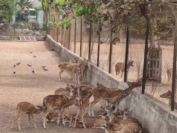 Deer Park Madhusudan Nagar