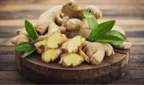 1st Edition Ginger Festival, Karbi Anglong