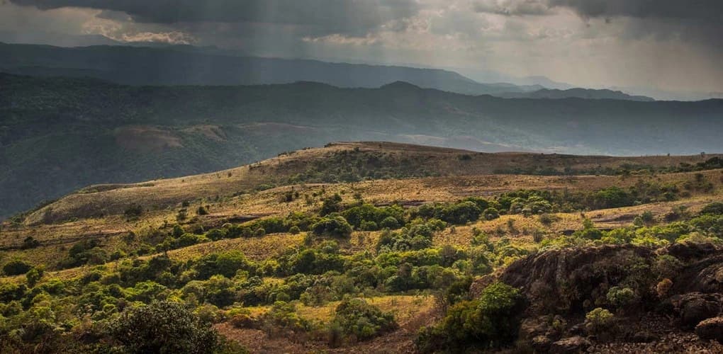 Kotebetta Hill