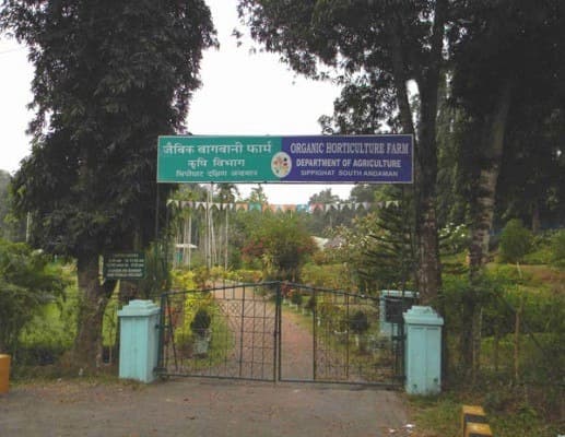 Sippighat Farm