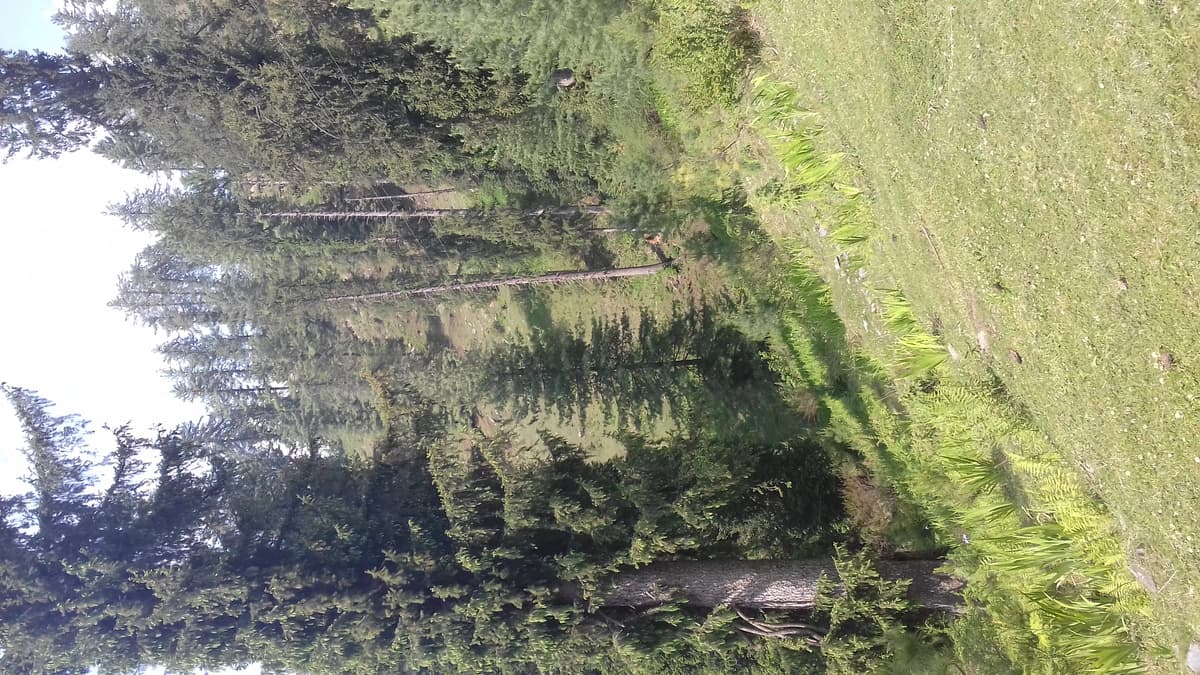 Great Himalayan National Park 