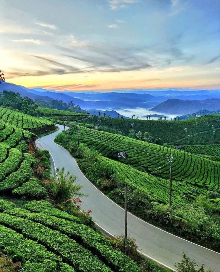 Munnar