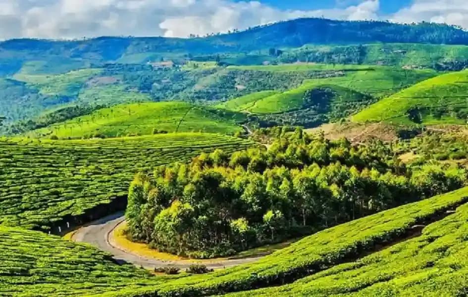 Ooty Tour Packages from Chennai 4