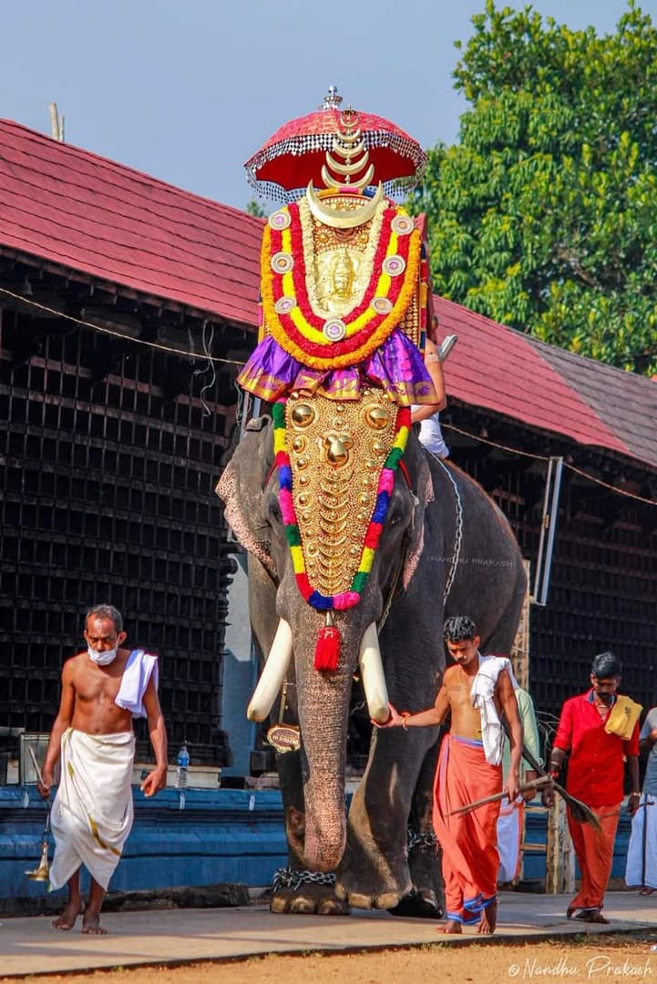 Guruvayur Aanayottam