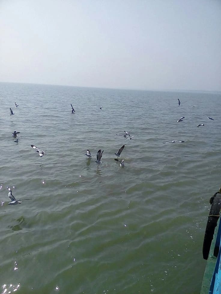 Kakdwip
