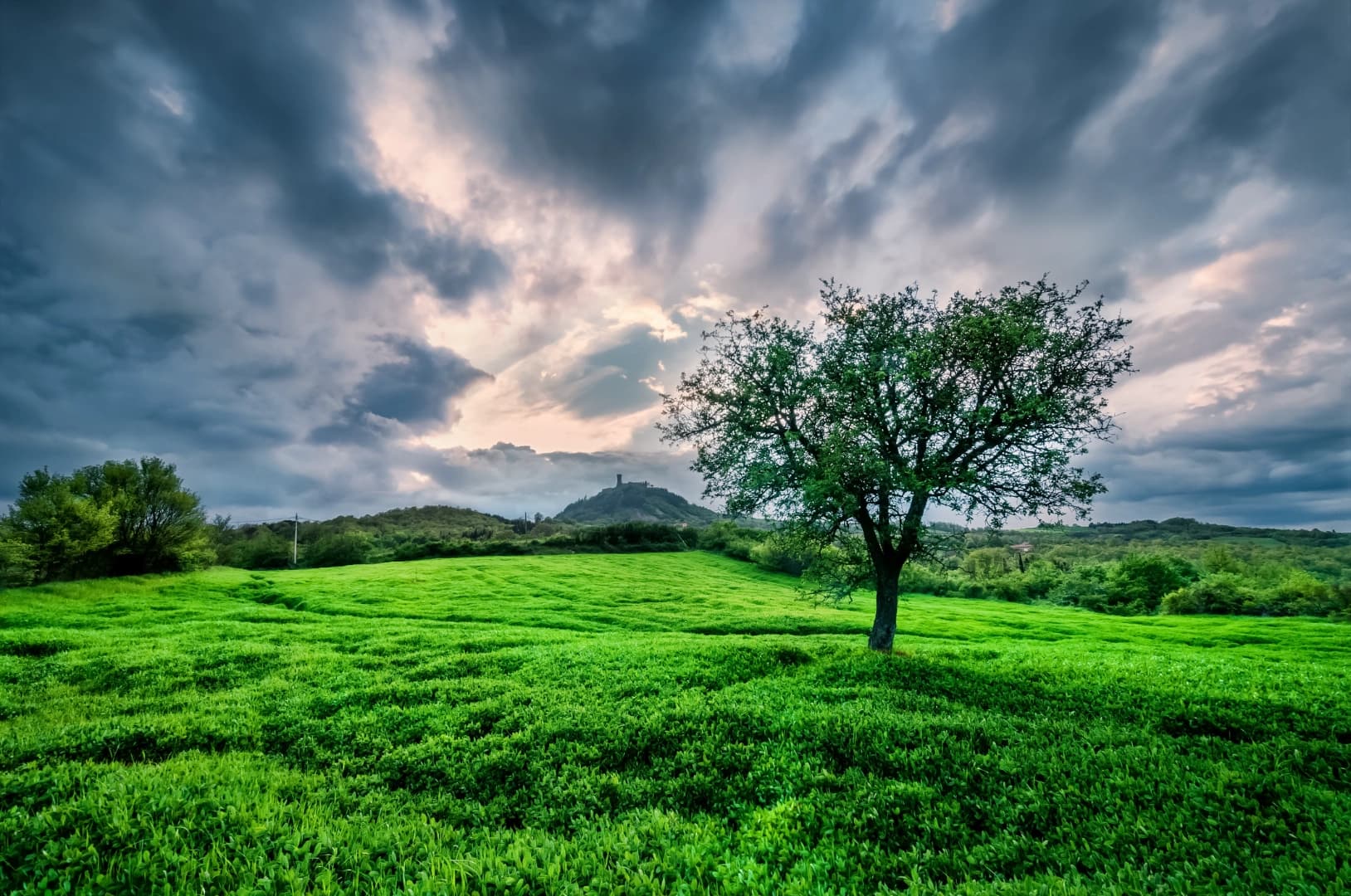 Ooty Tour Packages from Chennai 3