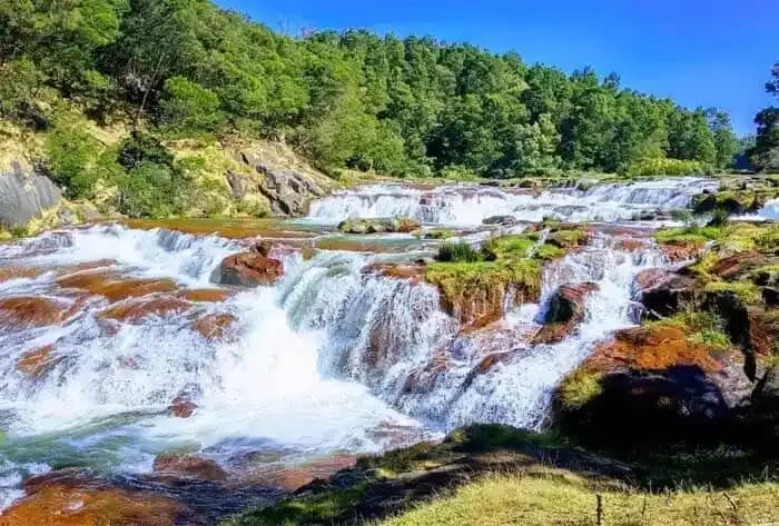 Ooty Kodaikanal Tour Packages from Coimbatore 2