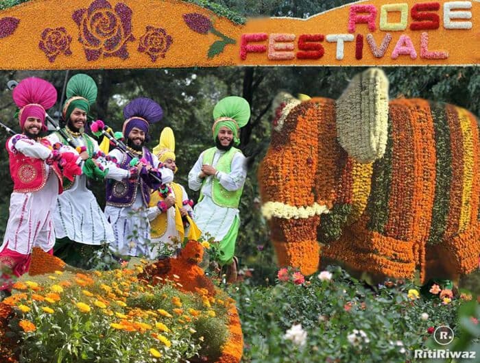 Chandigarh Rose Fair