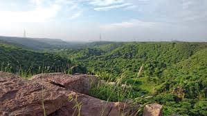 Mangar Bani Sacred Grove