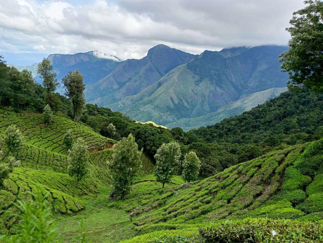 A Journey to Ooty and Munnar : In Search of Peace, Purpose and Meaning
