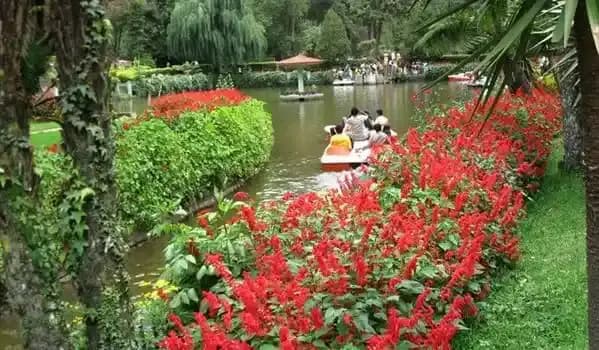 Ooty Tour Packages from Chennai