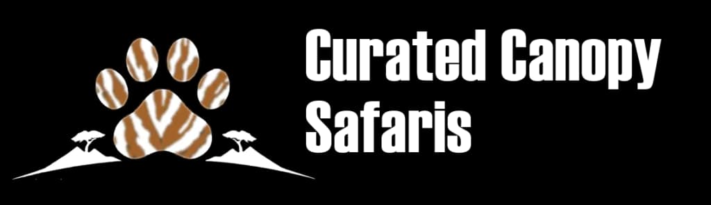 curated canopy safaris
