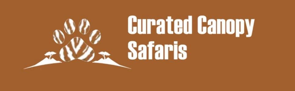 Curated Canopy Safaris