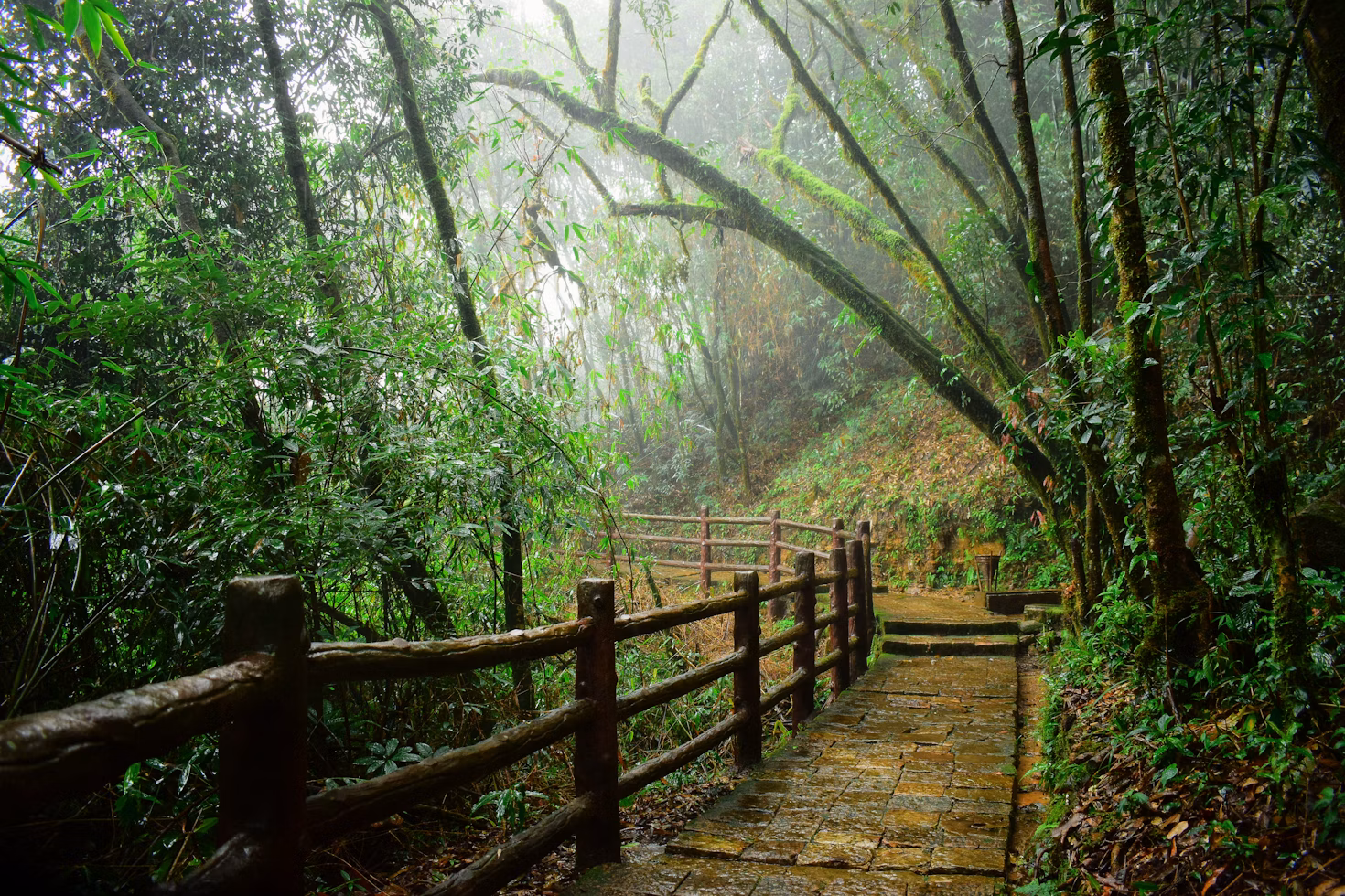 Shillong, Meghalaya