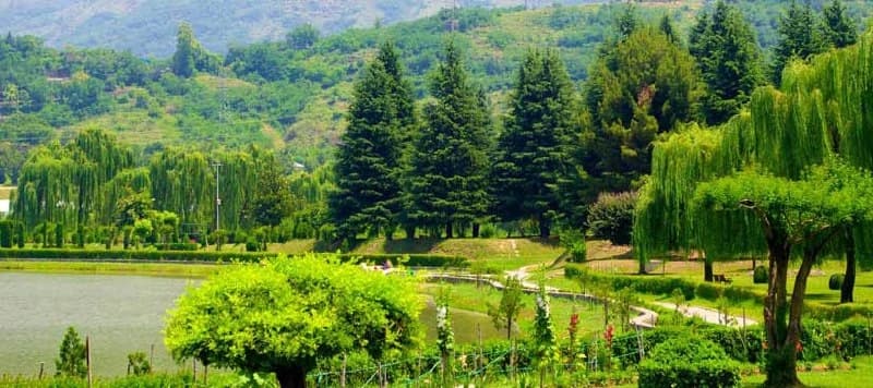 Jawaharlal Nehru Botanical Garden