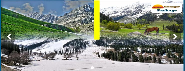 Srinagar Tour Package